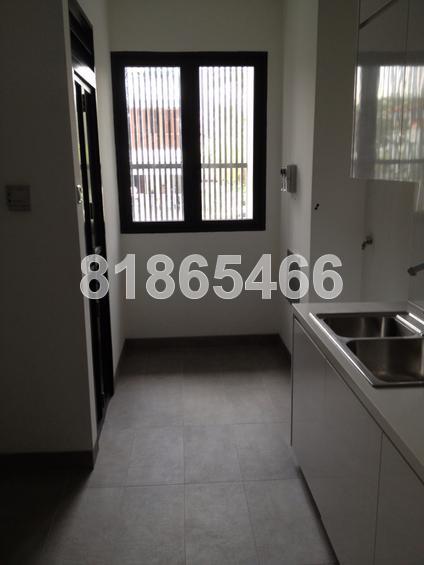 Kuie Pong Loft (D10), Condominium #65266672